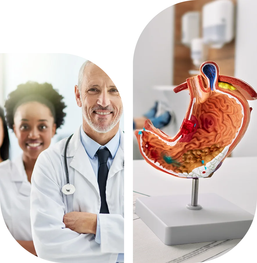 Group 1321316525 (3) A group of medical professionals stands next to a detailed anatomical model of a human stomach on a table in a clinical setting.